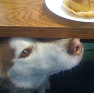 Meet your Posher, Eleanor